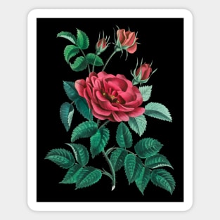 Red Rose Magnet